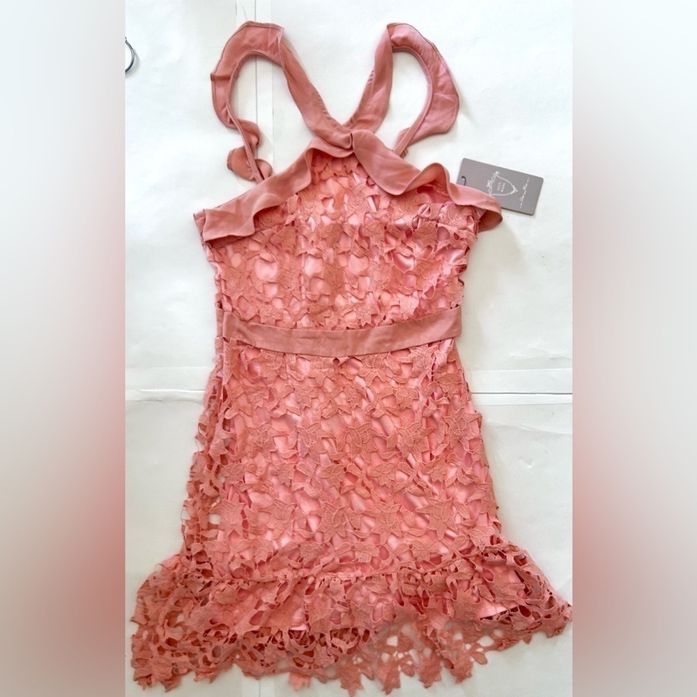 Anthropologie  Lucy Wang Dusty Rose Lace floral Dress size L - Picture 3 of 8